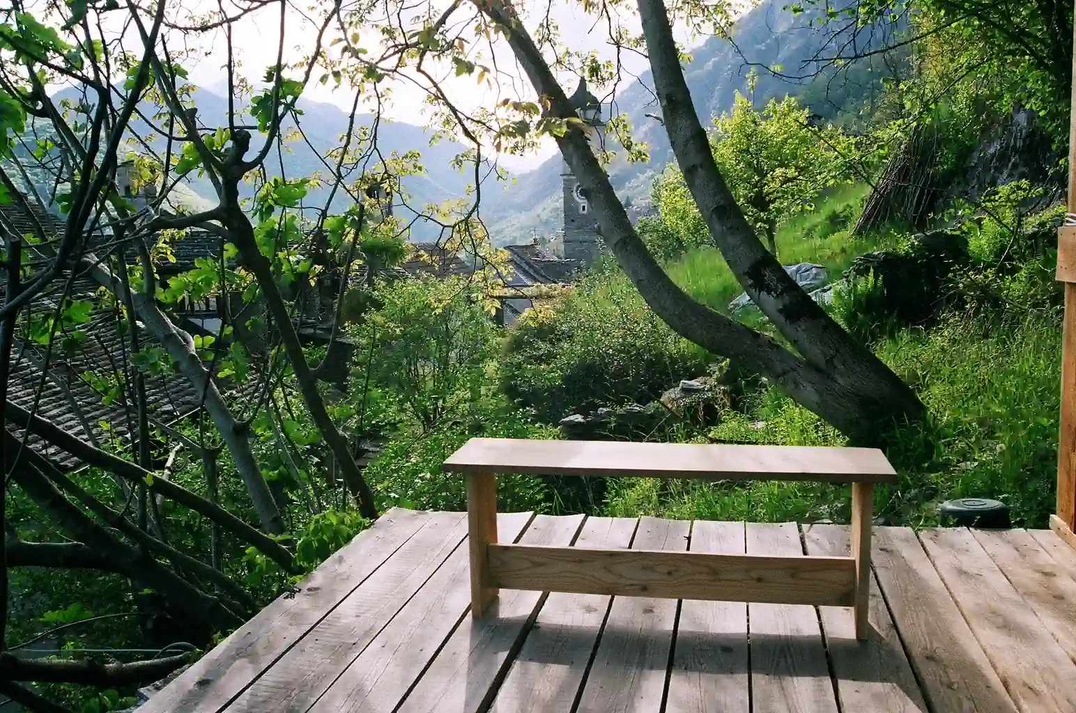 Tender Observer project